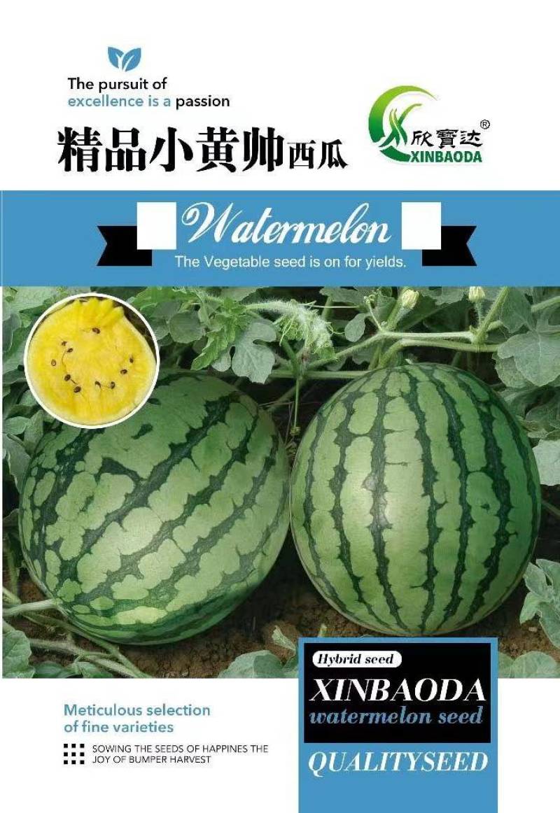 早熟西瓜种子中禧美都皮薄瓤红肉质酥脆多汁皮薄且韧耐运输抗