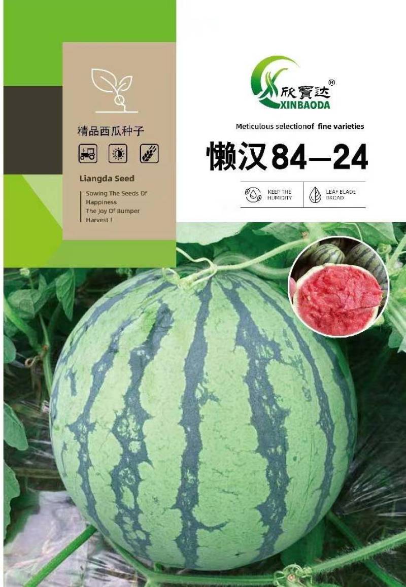 早熟西瓜种子中禧美都皮薄瓤红肉质酥脆多汁皮薄且韧耐运输抗