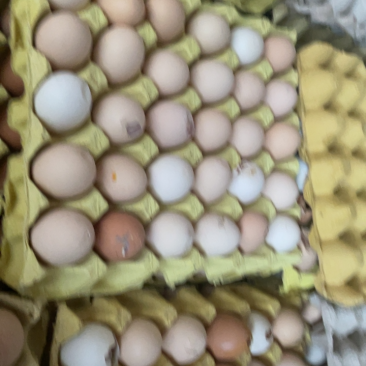 陕西鸡蛋破壳鸡蛋