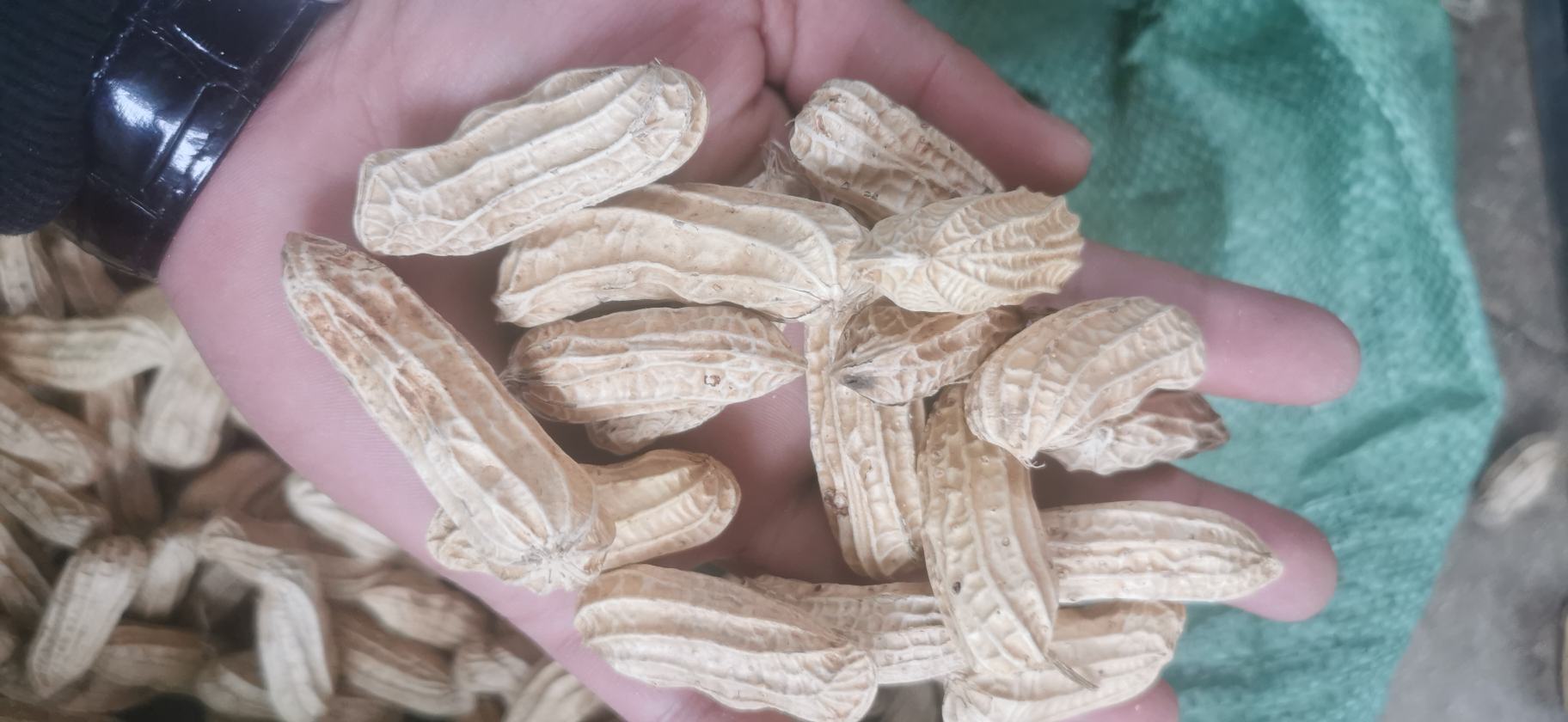 黑胡椒的营养成分表