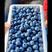 2023年辽宁丹东东港暖棚蓝莓批量上市，对接批发商，商超