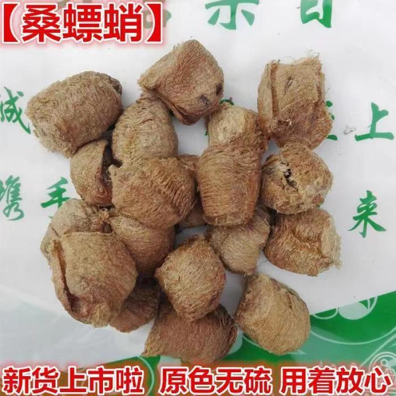 桑螵蛸螳螂卵刀螂子螳螂蛋螵蛸螳螂子刀螂蛋
