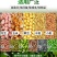 手推式种花生玉米黄豆播种机神器精播器新款全自动小型多功能
