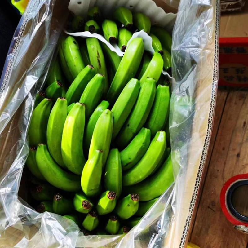 云南蕉广西蕉三把四把蕉不受寒低温蕉果面干净支持全国发货