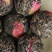 批发手工花草普洱玫瑰花茶龙珠手工普洱小沱茶古树茶纯