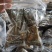 粽子厂家直销/批发/团购/定制/代工
