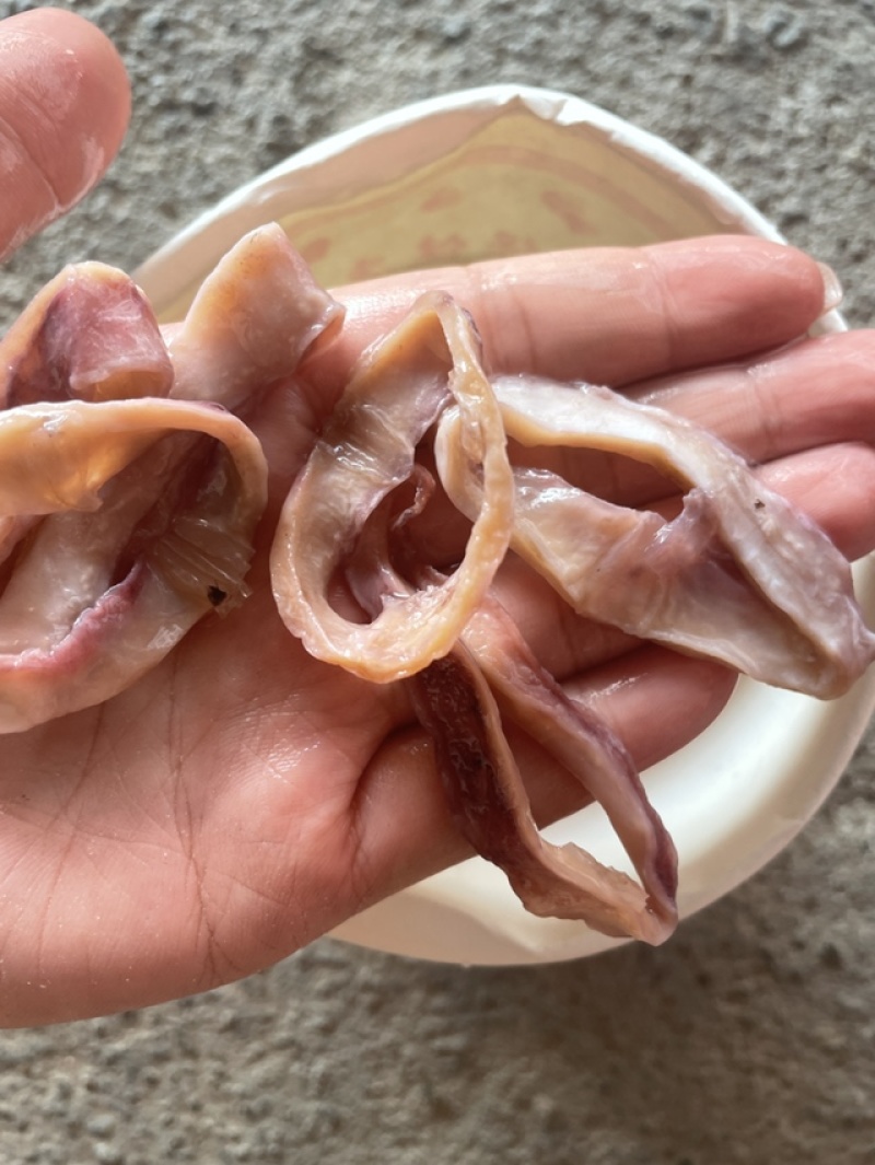 鱿鱼圈地摊北海鱿鱼圈鱿鱼丝鱿鱼片鱿鱼边角料鱿鱼干鱿鱼
