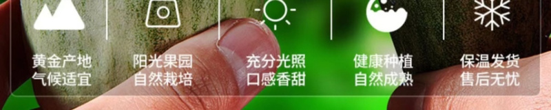电商一件代发羊角蜜山东供应链