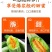 电商一件代发羊角蜜山东供应链