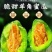 电商一件代发羊角蜜山东供应链