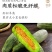 电商一件代发羊角蜜山东供应链