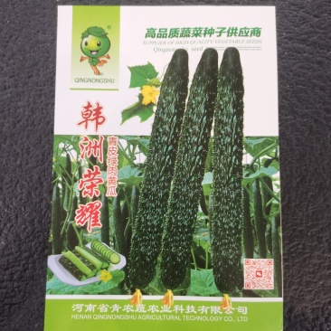 高端杂交种韩洲荣耀瓜条顺直刺密把短青皮青肉口感爽脆结瓜多