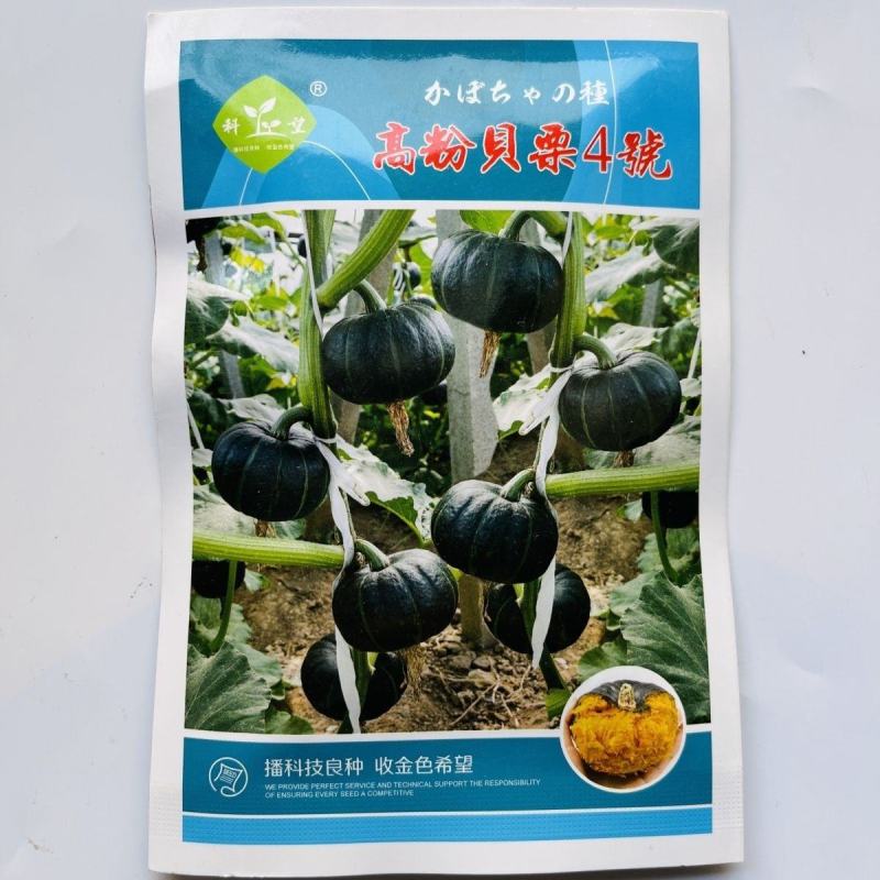 南瓜种子优质贝贝南瓜新品种高粉甜面春秋季大田用种蔬菜种子