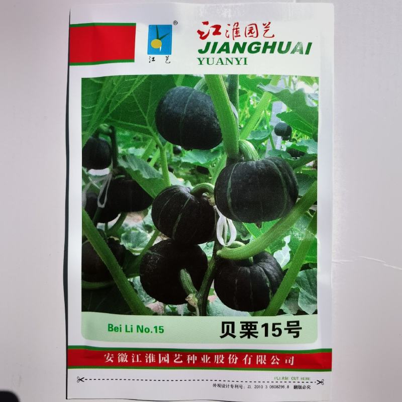 南瓜种子优质贝贝南瓜新品种高粉甜面春秋季大田用种蔬菜种子