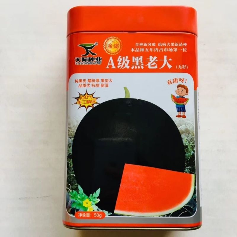 早熟黑皮红瓤西瓜种子四季超甜懒人黑皮红瓤薄皮巨形西瓜种子