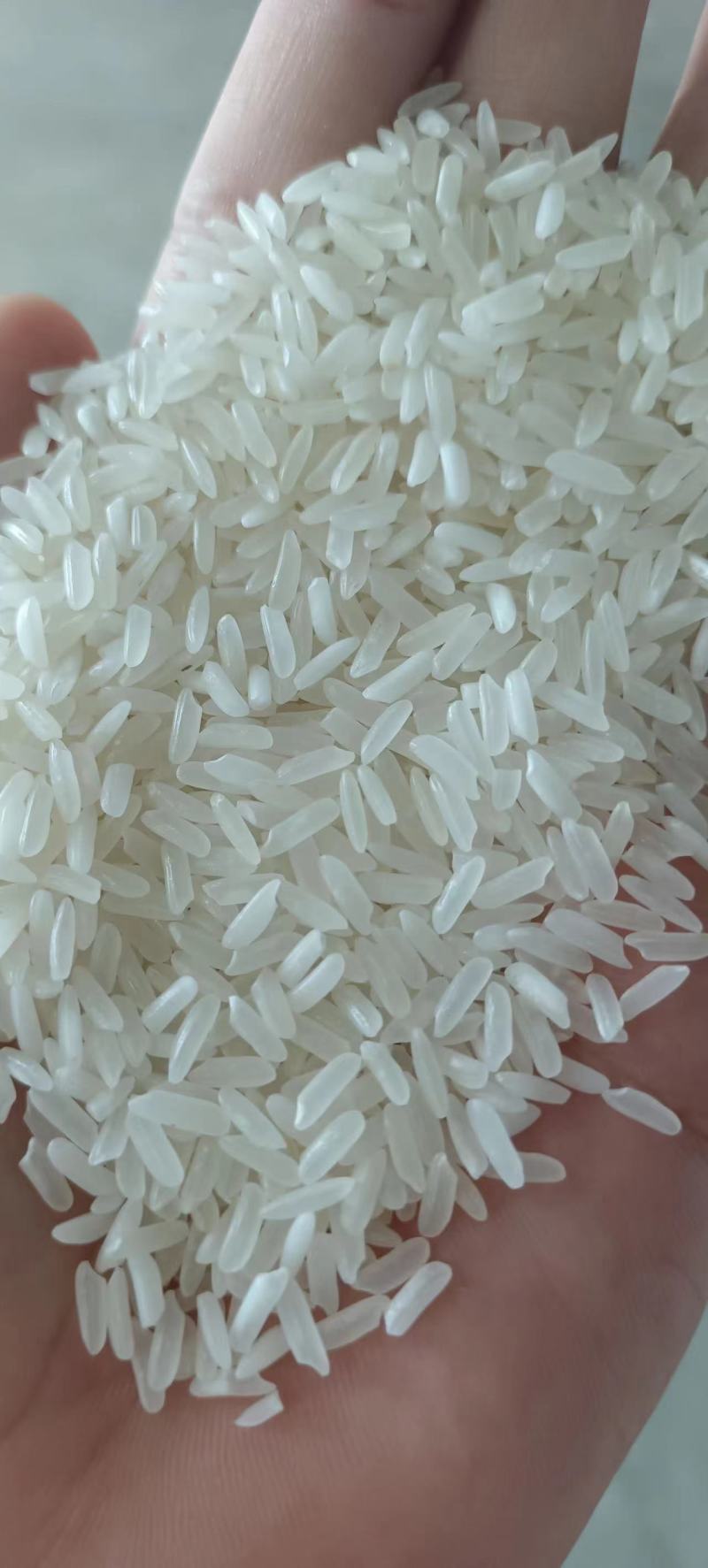 干粮食批发，玉米，白糖