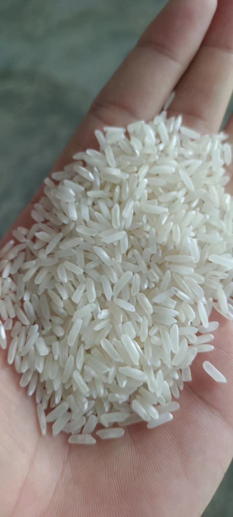 干粮食批发，玉米，白糖
