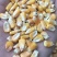 干粮食批发，玉米，白糖