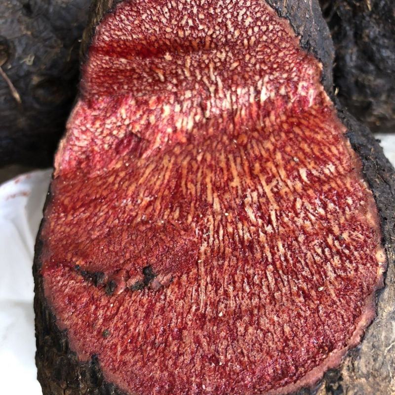 野生薯良血三七鸡血莲云香纱染布薯新鲜现挖产地批发中药材
