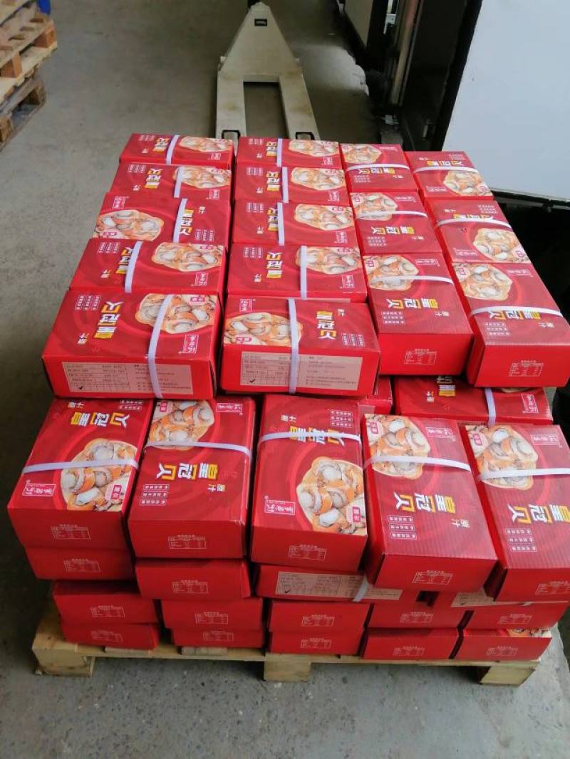 贻贝，4斤一件包邮批发价红贝肉品质保证，可批发