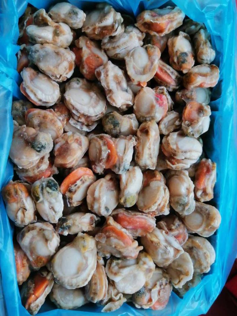 贻贝，4斤一件包邮批发价红贝肉品质保证，可批发