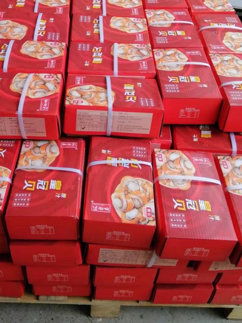 贻贝，4斤一件包邮批发价红贝肉品质保证，可批发