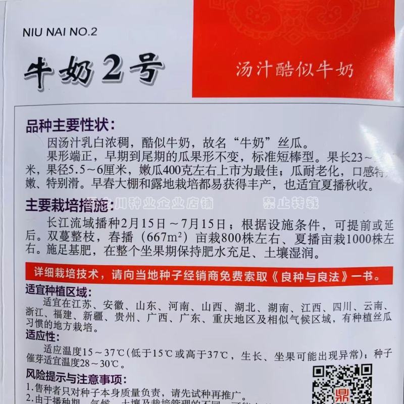 汤汁酷似牛奶丝瓜品种牛奶2号丝瓜种子短棒型牛奶水瓜种子