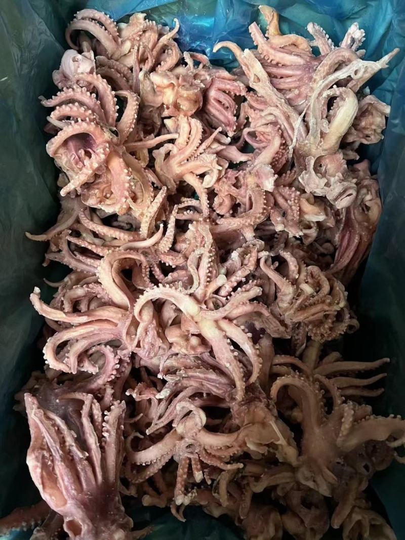 脆口小八爪