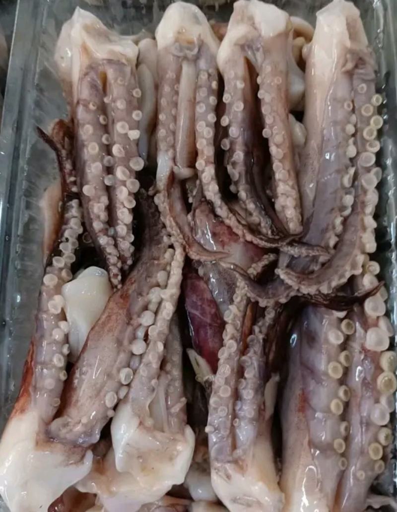脆口鱿鱼须