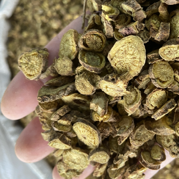 黄芩正宗内蒙古枯芩黄芩正品黄芩根黄岑黄芹黄芩批发