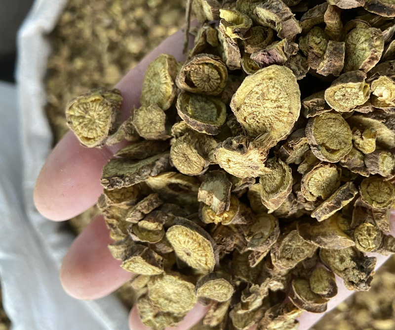 黄芩正宗内蒙古枯芩黄芩正品黄芩根黄岑黄芹黄芩批发