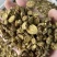 黄芩正宗内蒙古枯芩黄芩正品黄芩根黄岑黄芹黄芩批发