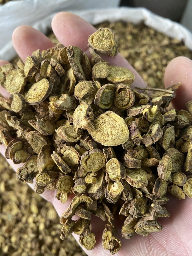 黄芩正宗内蒙古枯芩黄芩正品黄芩根黄岑黄芹黄芩批发