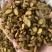 黄芩正宗内蒙古枯芩黄芩正品黄芩根黄岑黄芹黄芩批发