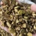 黄芩正宗内蒙古枯芩黄芩正品黄芩根黄岑黄芹黄芩批发