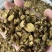 黄芩正宗内蒙古枯芩黄芩正品黄芩根黄岑黄芹黄芩批发