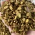 黄芩正宗内蒙古枯芩黄芩正品黄芩根黄岑黄芹黄芩批发