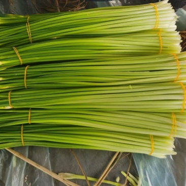 蒜薹，