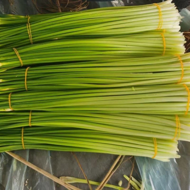 蒜薹，