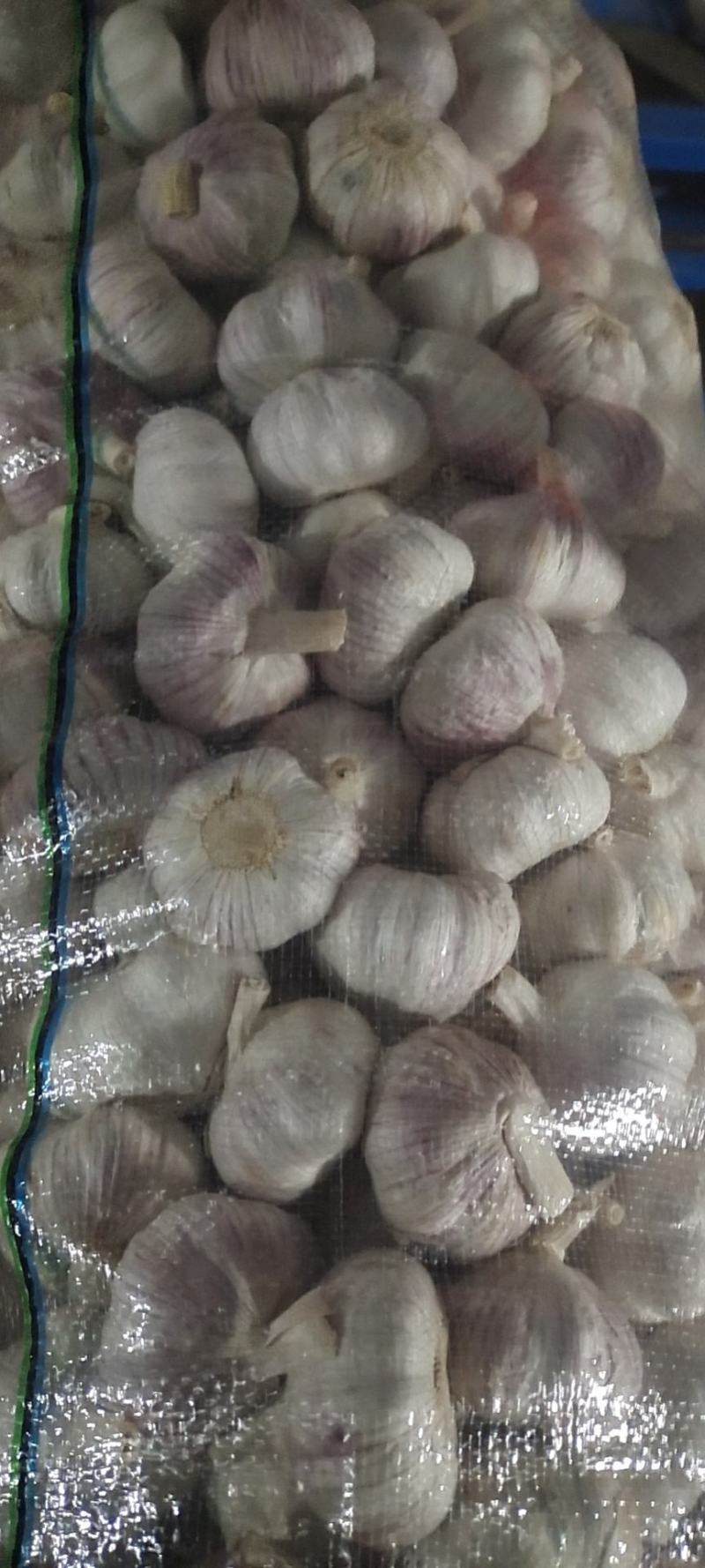 邳州大蒜