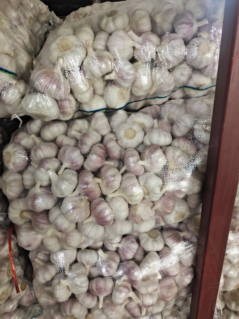 邳州大蒜