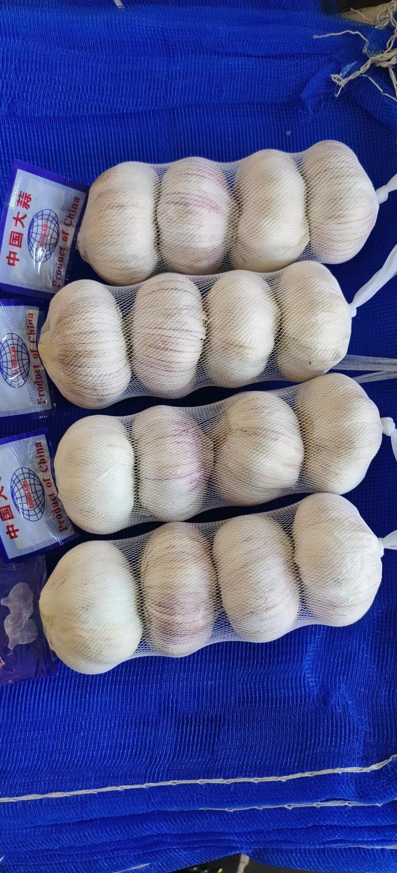 邳州大蒜