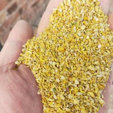 厂家直销碎黄豆可做肥料，碎黄豆压榨豆质量保证