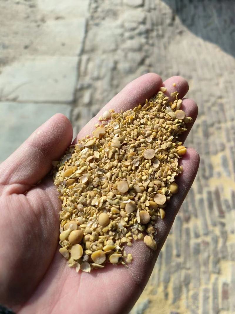 厂家直销碎黄豆可做肥料，碎黄豆压榨豆质量保证