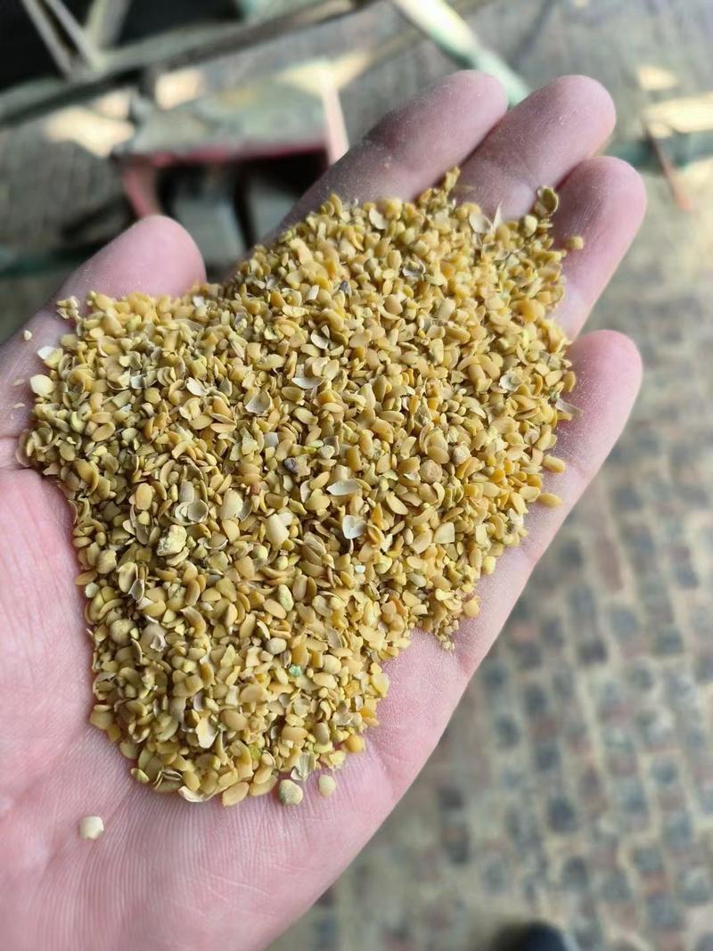 厂家直销碎黄豆可做肥料，碎黄豆压榨豆质量保证