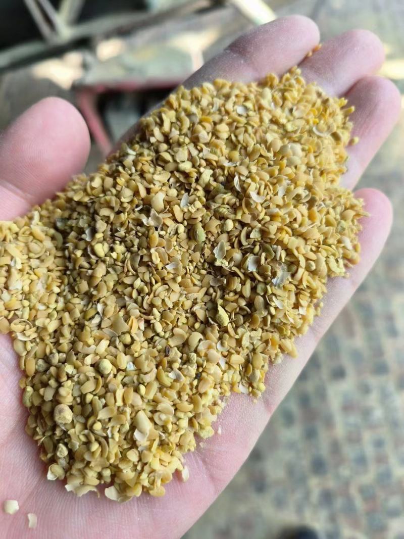 厂家直销碎黄豆可做肥料，碎黄豆压榨豆质量保证