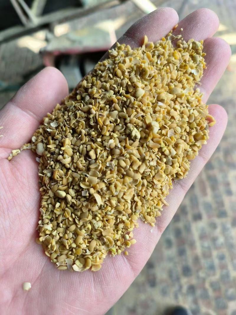 厂家直销碎黄豆可做肥料，碎黄豆压榨豆质量保证