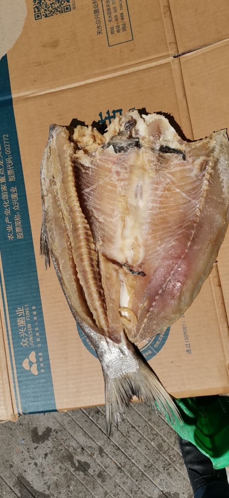 风干鱼腊鱼白鲢咸鱼块
