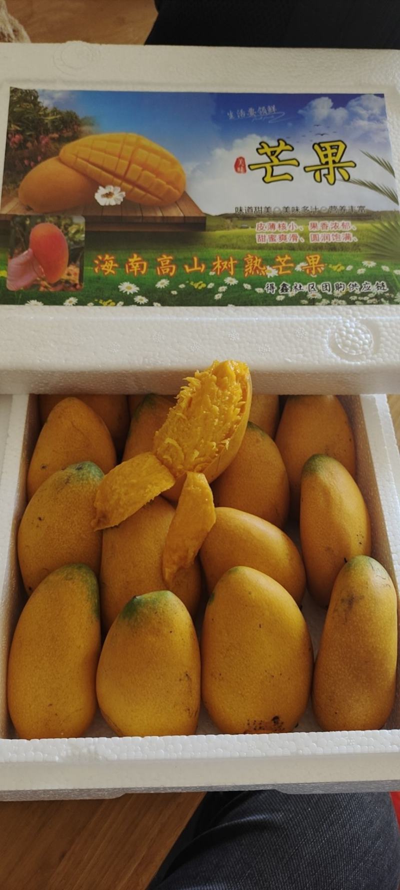 台芒