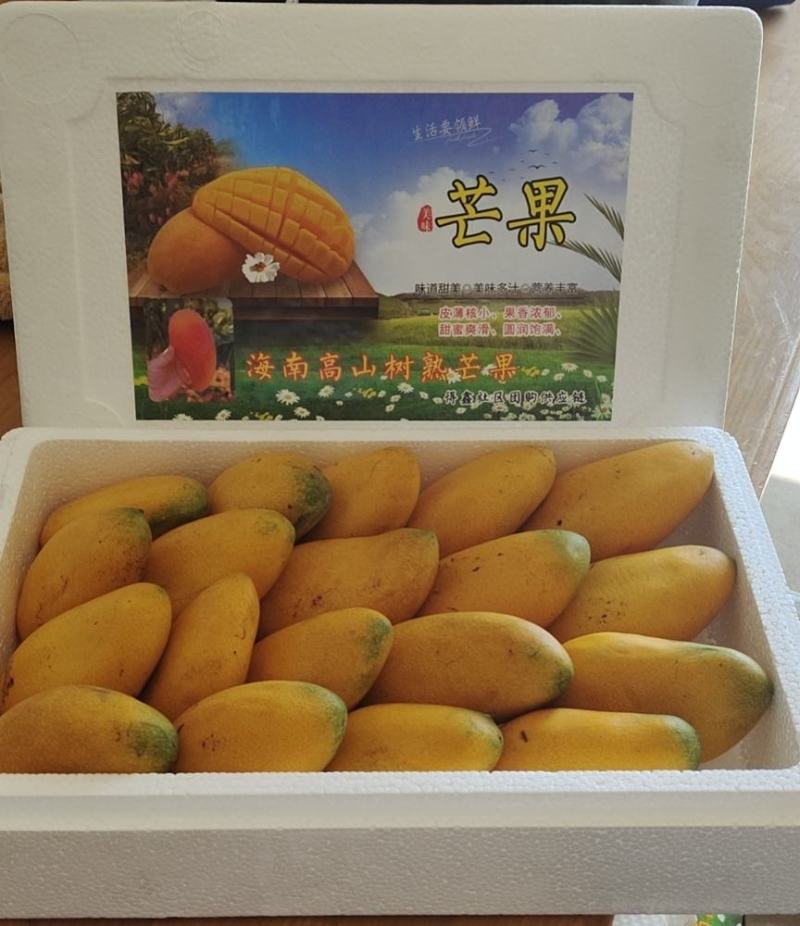 台芒